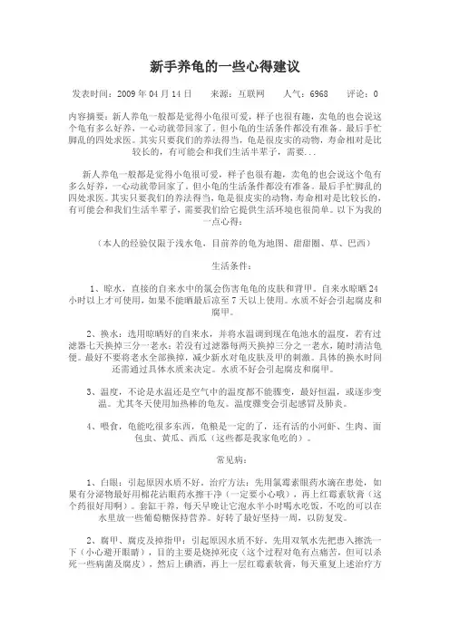 新手养龟的一些心得建议