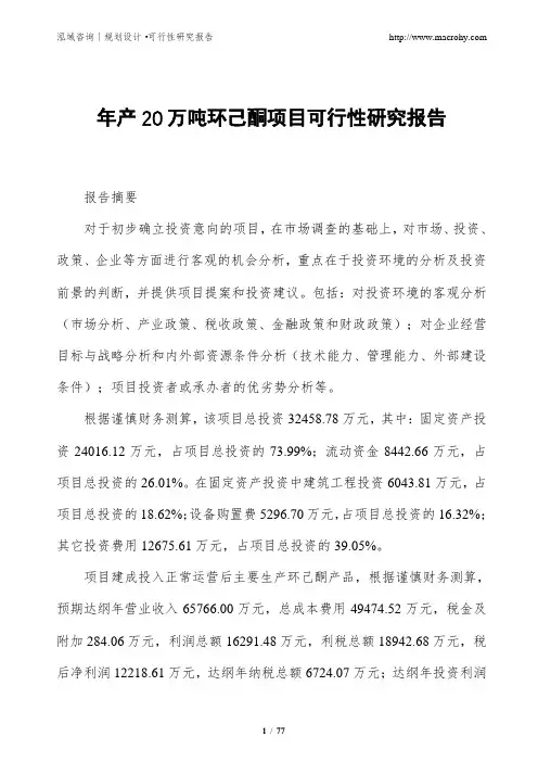 年产20万吨环己酮项目可行性研究报告
