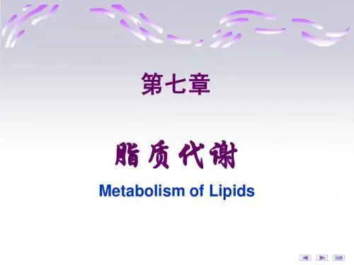 第07章脂质代谢