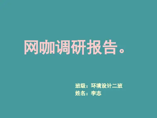网咖调研报告ppt