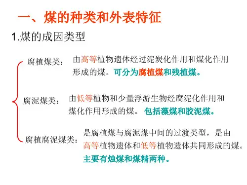 煤化学总结