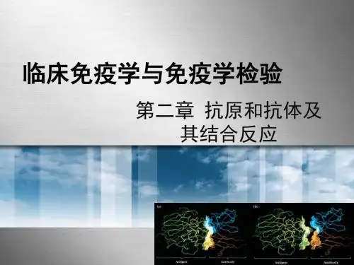 第2章抗体与抗原