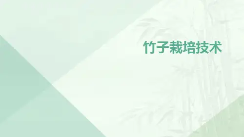 竹子栽培技术