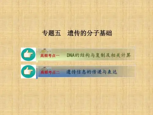 新高考高考生物二轮复习 专题5 遗传的分子基础名师精编课件