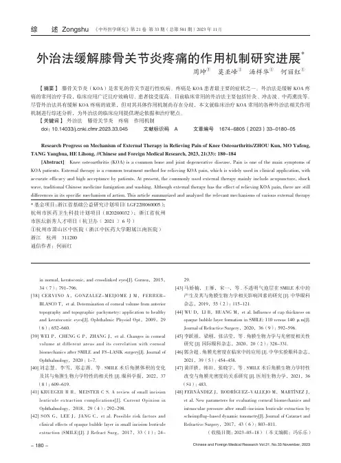 外治法缓解膝骨关节炎疼痛的作用机制研究进展