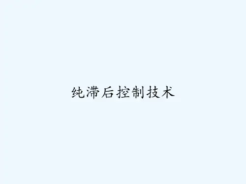 纯滞后控制技术