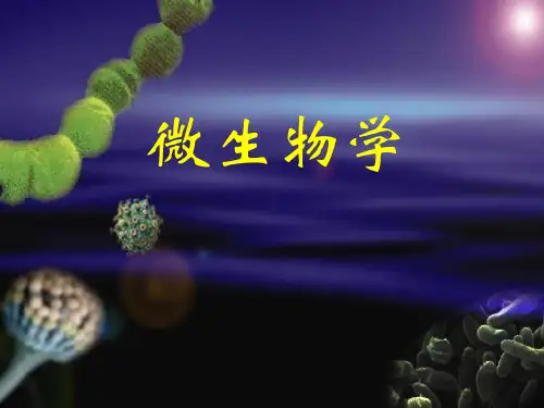 第十一章微生物的分类和鉴定ppt课件