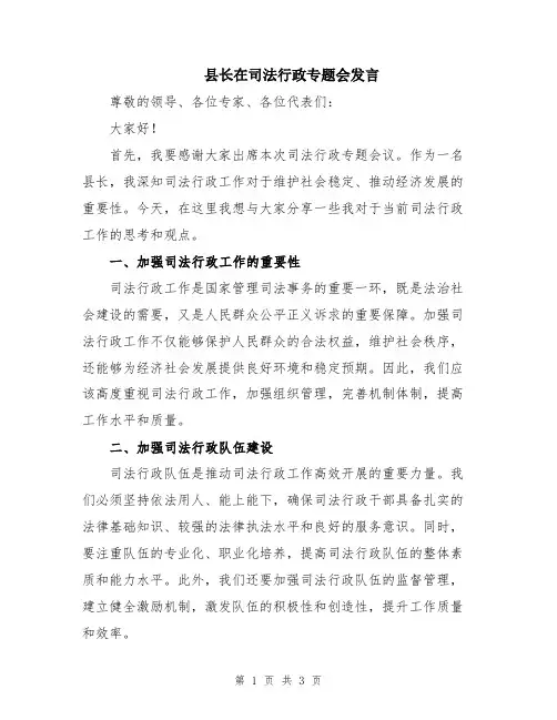 县长在司法行政专题会发言