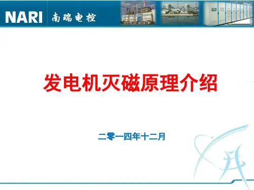 发电厂励磁系统灭磁原理