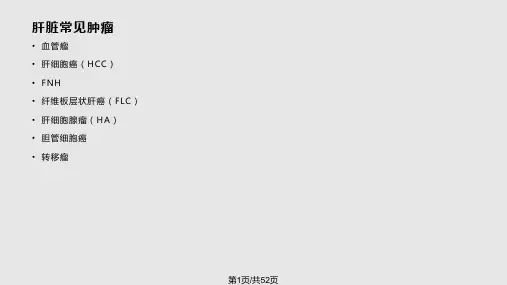 肝脏常见肿瘤影像诊断PPT课件