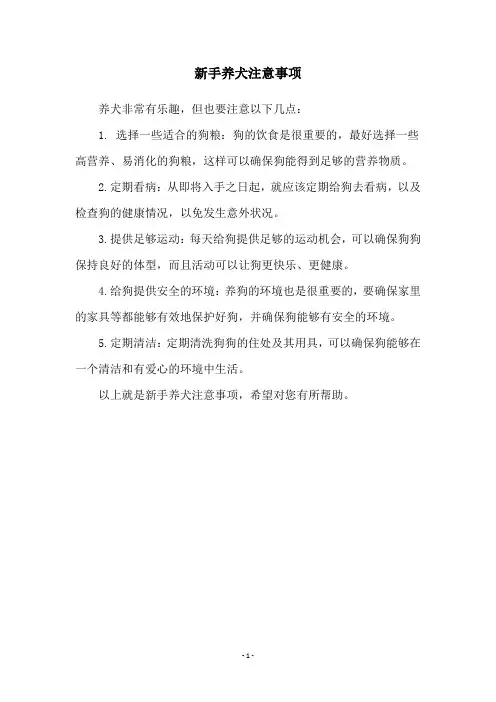 新手养犬注意事项