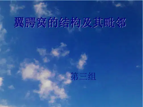 翼腭窝解剖ppt(共21张PPT)