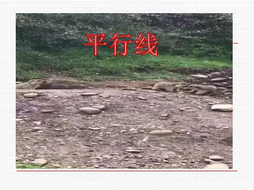 《平行线的性质》课件(共33张PPT)000