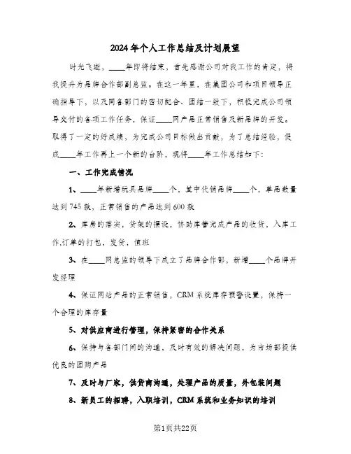 2024年个人工作总结及计划展望(6篇)