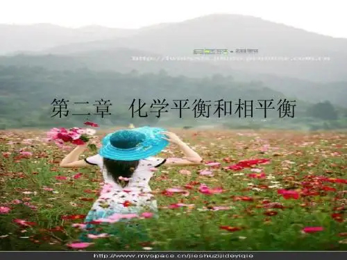 第二章化学平衡和相平衡