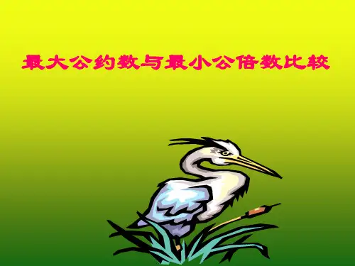 最大公约数与最小公倍数比较1
