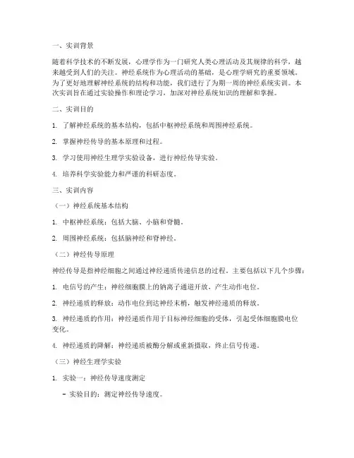 心理学神经系统实训报告
