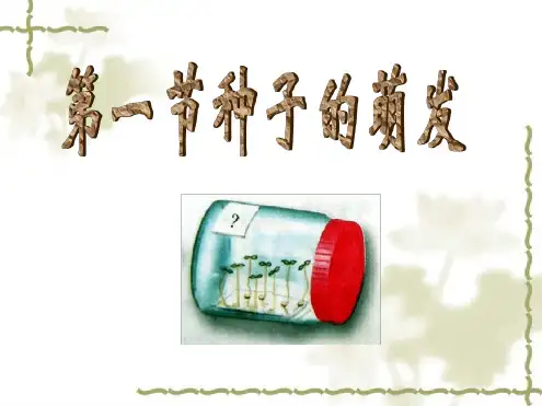 人教版七年级初一上册生物《种子的萌发PPT课件》