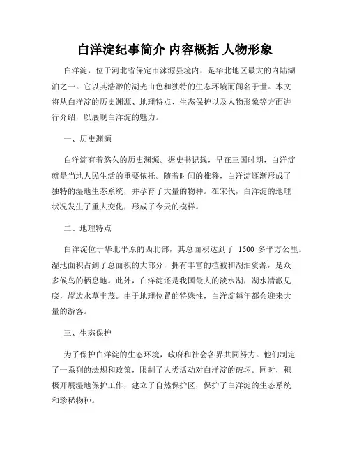 白洋淀纪事简介 内容概括 人物形象2