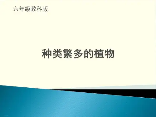 教科版《多种多样的植物》精品教学课件3