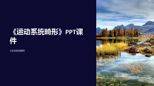 《运动系统畸形》课件