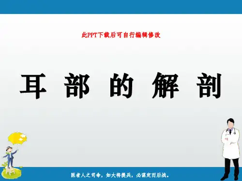 耳部的解剖PPT课件
