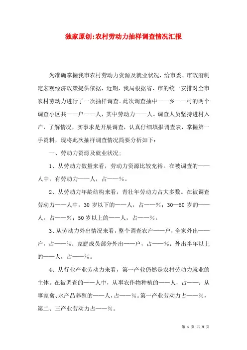 独家原创-农村劳动力抽样调查情况汇报