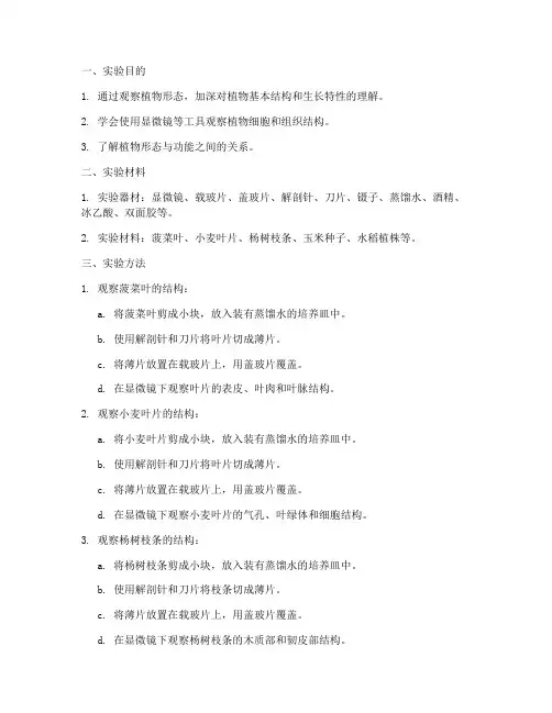 观察植物形态实验报告