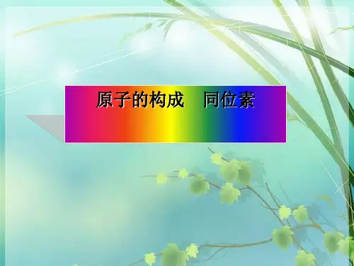 高一化学同位素 PPT课件 图文