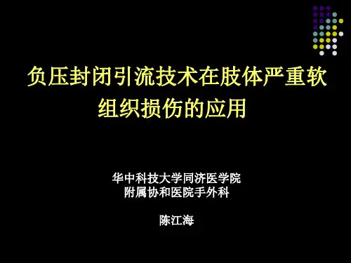 负压封闭引流ppt课件
