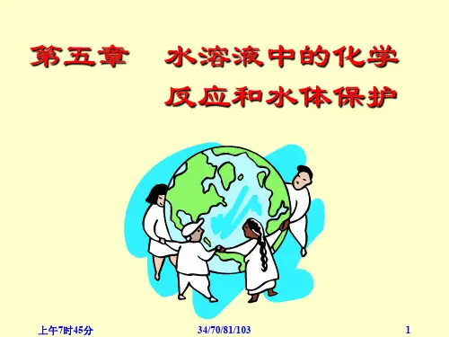 水溶液中的化学反应和水体保护