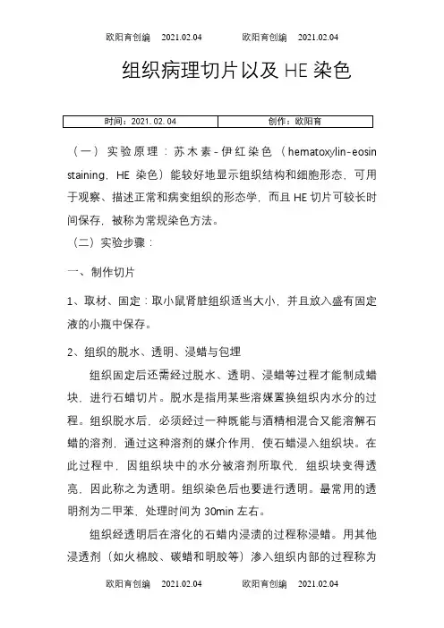 组织病理切片以及HE染色之欧阳育创编