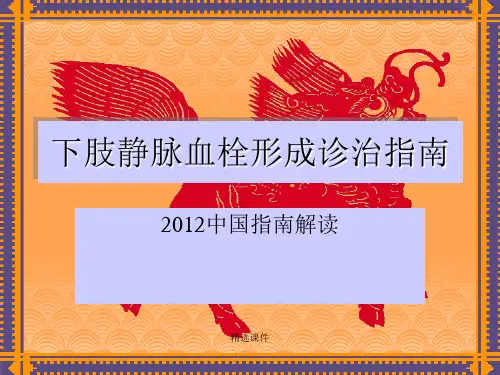 下肢静脉血栓形成诊治指南