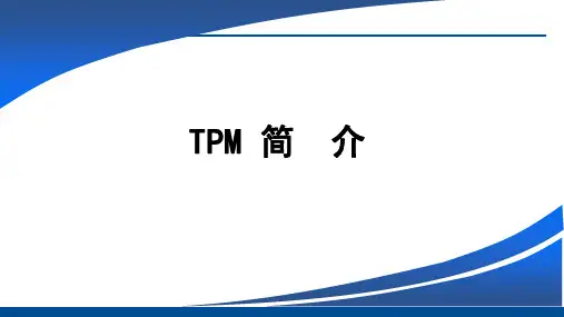 TPM简介