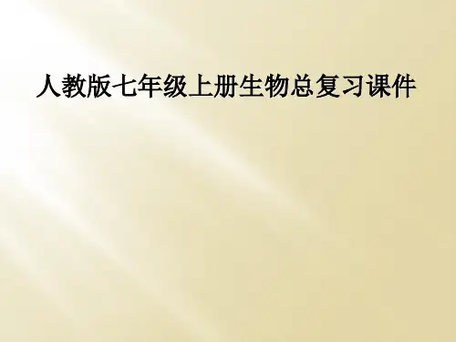 人教版七年级上册生物总复习课件