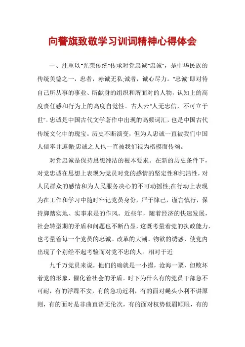 向警旗致敬学习训词精神心得体会