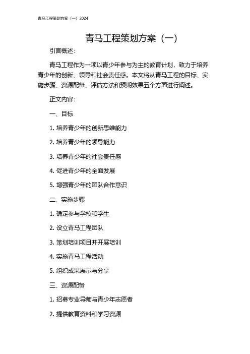 青马工程策划方案(一)2024