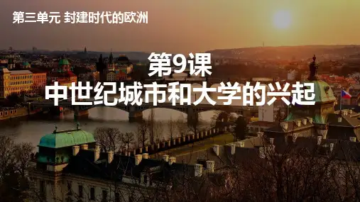 《中世纪城市和大学的兴起》PPT免费下载