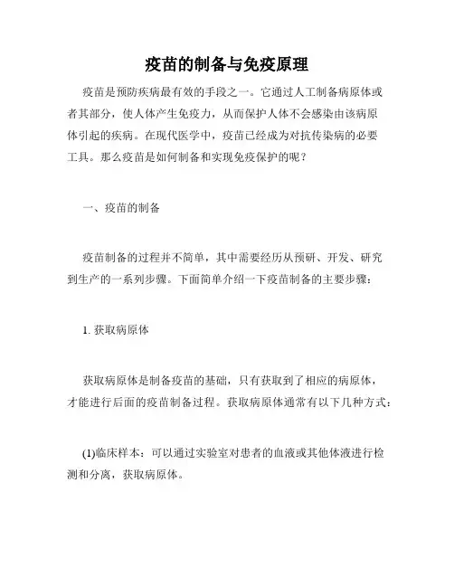 疫苗的制备与免疫原理