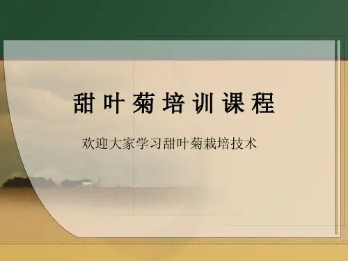 甜叶菊种植技术培训 精品