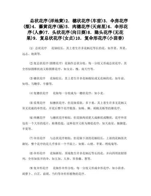 药用植物分类学名词解释