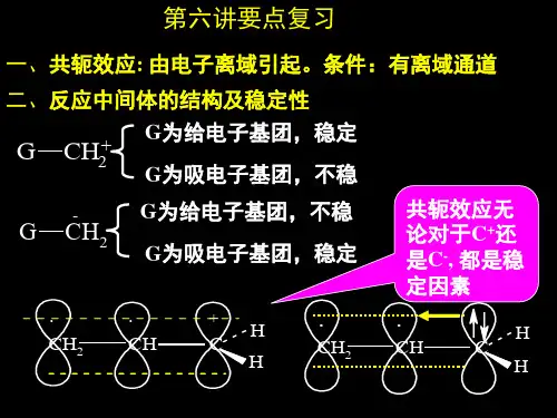 共振论