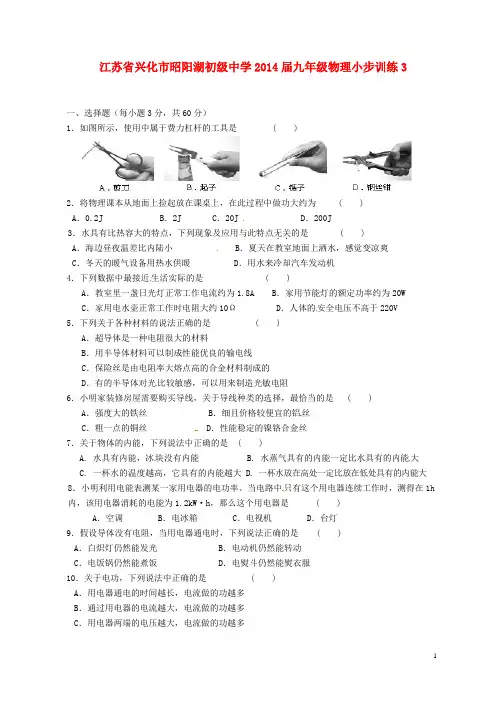 江苏省兴化市昭阳湖初级中学九年级物理小步训练3(无答