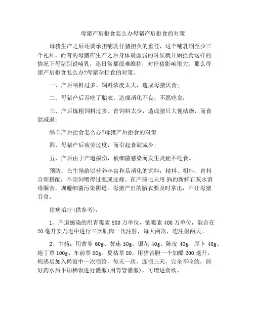母猪产后拒食怎么办母猪产后拒食的对策
