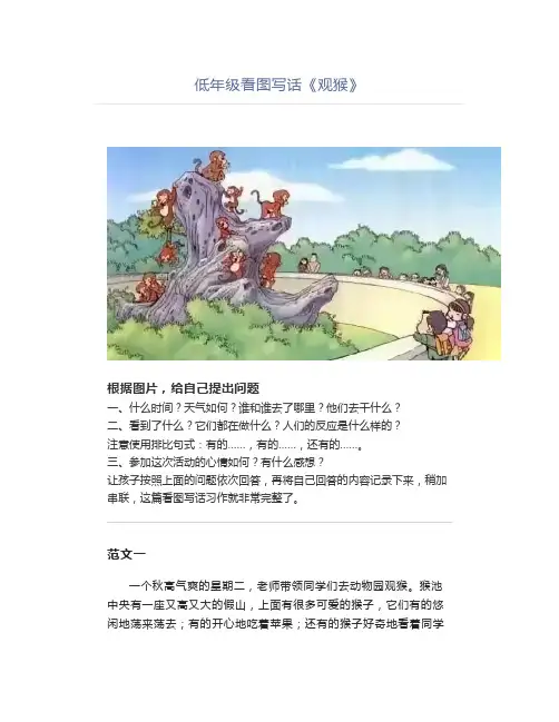 看图写话《观猴》范文