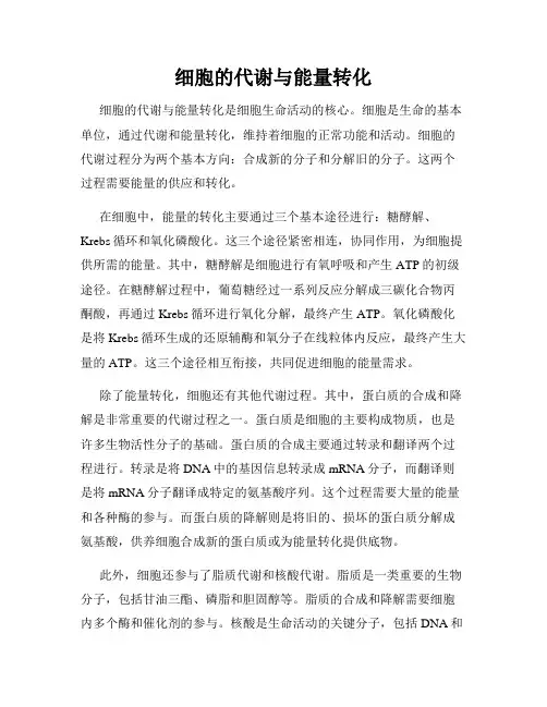 细胞的代谢与能量转化