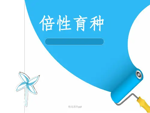 《倍性育种》PPT课件
