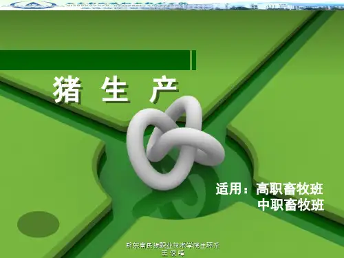 母猪的饲养管理授课