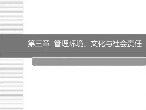 第3章 管理环境、文化与社会责任