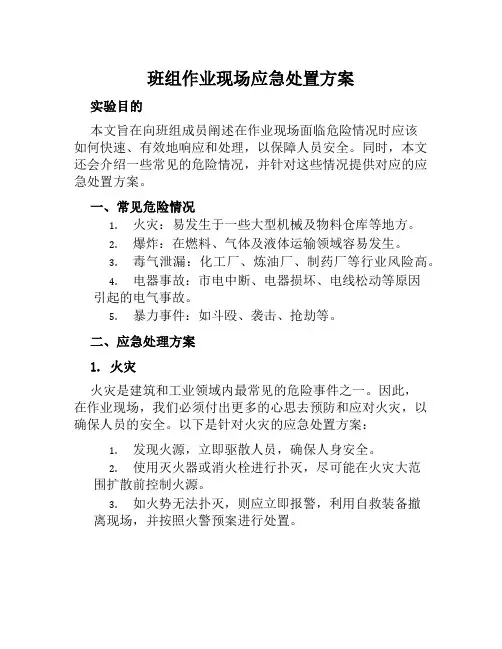 班组作业现场应急处置方案范文